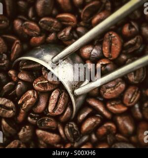 Kaffeebohnen hautnah Stockfoto
