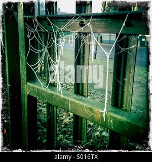 Nahaufnahme des großen Spinnweben in Frost auf ein Eisentor Park bedeckt. London UK... Hipstamatic, iPhone. Stockfoto