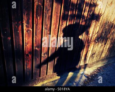Schatten des 3 jährigen Jungen auf Holzwand. Stockfoto