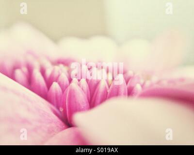 Weiches Bett Stockfoto