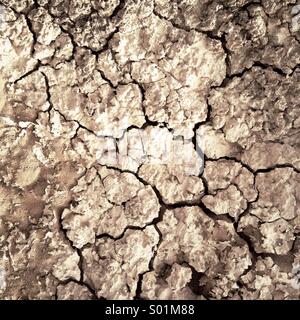 Trockene rissige Erde Stockfoto
