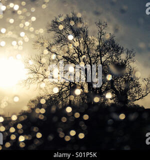 Glitzernde Regentropfen am Fenster Stockfoto
