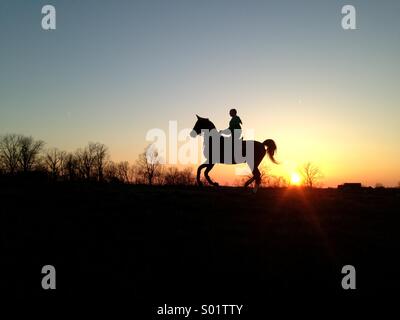 Mädchen-Reitpferd im Sonnenuntergang Stockfoto