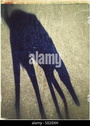Hund und Schatten Stockfotografie - Alamy
