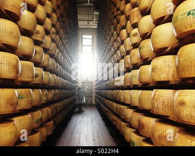 Parmigiano Reggiano Shop, Parma, Emilia Romagna, Italien Stockfoto