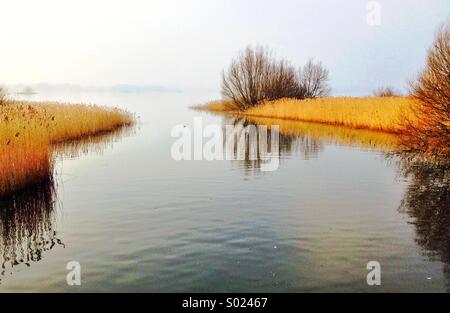 Eine malerische ruhige Szene am südlichen Ende von Chew Valley Lake, Reflexionen in ruhigem Wasser von Sträuchern und Schilf. Somerset, UKv Stockfoto