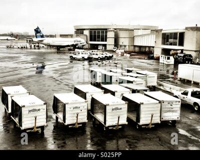 Gepäckwagen sind in der Nähe von einem JetBlue Flugzeug an einem Tor an Ronald Reagan National Airport in der Nähe von Washington, D.C., USA, an einem regnerischen Nachmittag sitzen aufgereiht. Stockfoto