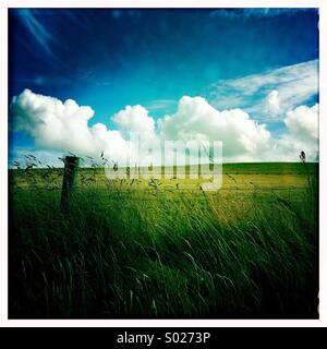 Weiße Wolken und grünen Wiese Stockfoto