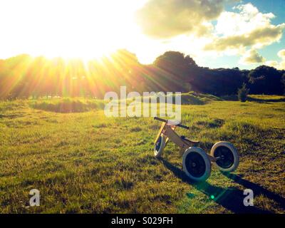 Dreirad auf dem Rasen Stockfoto