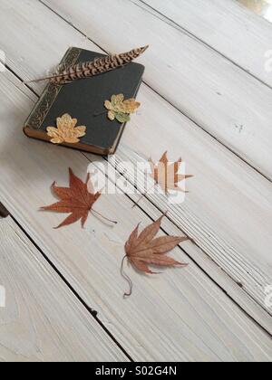 Herbst-vignette Stockfoto