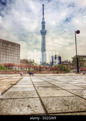 Ein Blick auf Tokyo Sky Tree in der Nähe von Sumida Ward Büro in Asakusa Stockfoto