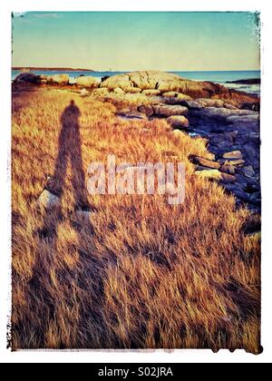 Schatten eines Mannes erstreckt sich über Sumpfgras in Rye, New Hampshire. Odiorne Point State Park. Stockfoto