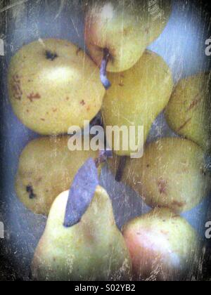 Pears Stockfoto