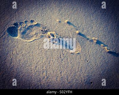 Fußabdruck im sand Stockfoto