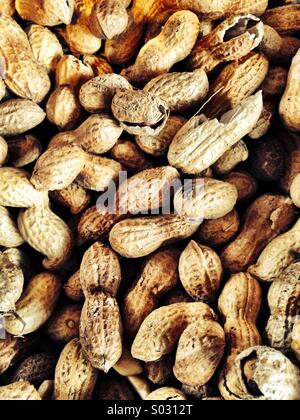 Erdnüsse in einer Schale Monkey nuts Stockfoto