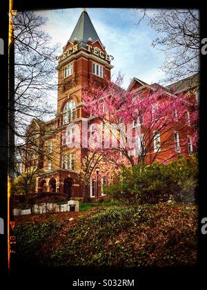 Ein Frühling Sonnenuntergang leuchtet der historischen Tech-Turm, ein Schwerpunkt auf der Georgia Tech Campus in Atlanta, Georgia, USA. Stockfoto