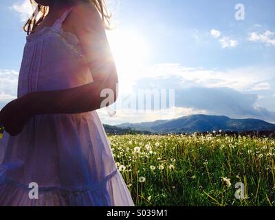 kleines Mädchen im Feld Löwenzahn Stockfoto