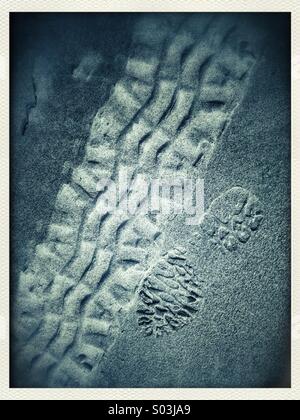 Automobil Reifenspuren und Fußabdruck im Sand am Strand Stockfoto
