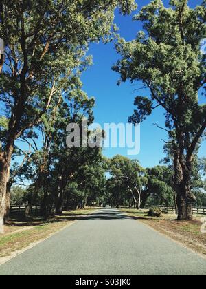 Landstraße in Australien Stockfoto