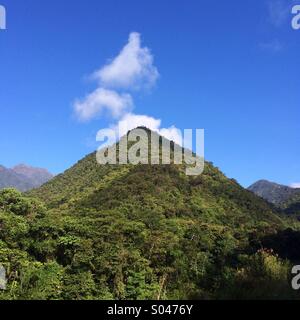 Wolken, Anden, cloud Forest, Cosnipata Tal, Manu Nationalpark, Peru Stockfoto