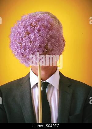 Alium Blume Häute mans Gesicht Stockfoto