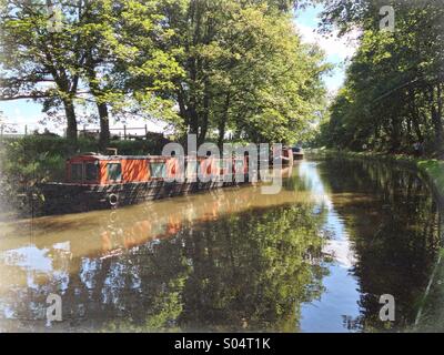 Schmale Boote vertäut am Leeds-Liverpool-Kanal Stockfoto