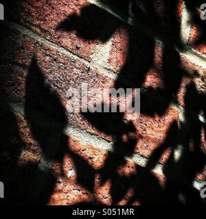 Schatten der Blätter auf Ziegelmauer Stockfoto