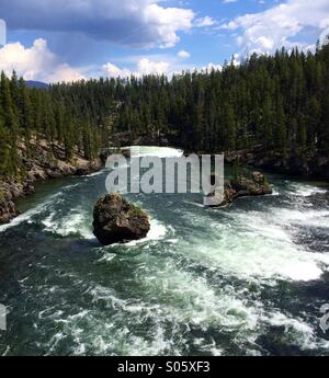 Yellowstone River über die erste fällt Stockfoto
