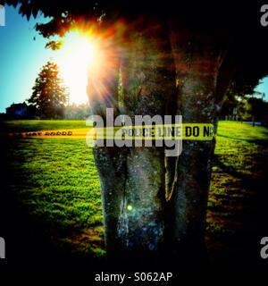 Ein Polizei-Klebeband umwickelt einen Baum in einem Park. Stockfoto