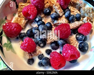 Eine Schüssel Vollkorn-Müsli-Quadrate mit Himbeeren und Heidelbeeren. Stockfoto