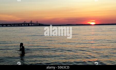 Schwimmen in der Chesapeake Bay, Terrapin Staatspark, Bay Bridge im Hintergrund, August 2014. Stockfoto