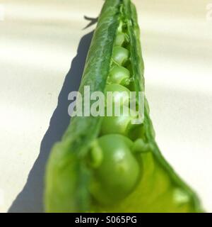 Erbsen in einer Schote aus nächster Nähe Stockfoto