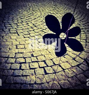 Künstlerische Blüte Silhouette und Kopfsteinpflaster in Füssen, Allgäu, Bayern, Deutschland, Europa Stockfoto