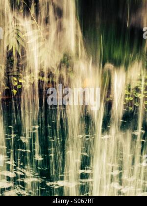 A hinter einem Wasserfall mit Blick auf eine üppige grüne Dschungel erschossen Stockfoto