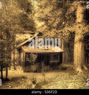 Alte Hütte im Wald. Stockfoto