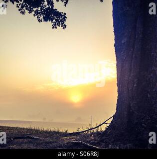 Lust dich auch den Herrn; und er soll dir die Wünsche deines Herzens geben. Psalm 37:4 Stockfoto