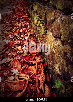 Herbst Blätter mit Moos bedeckt Steinmauer Stockfoto