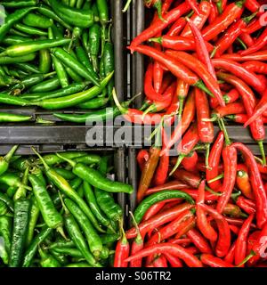 Grüne und rote Chilis Stockfoto