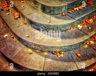 Herbstlaub und Schritte Stockfoto