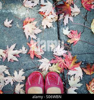 Füße und Herbstlaub Stockfoto