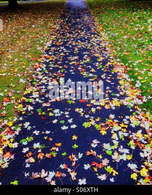 Gefallene Blätter bedecken einen Fußweg nach einem Regen im Herbst Stockfoto