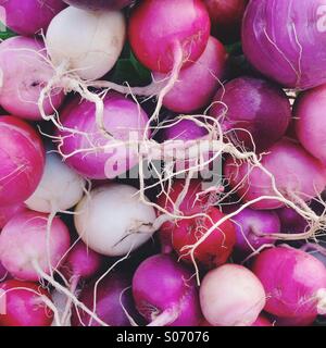 Easter Egg Radieschen Stockfoto