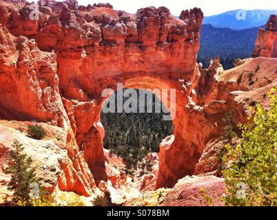 Naturale in Bryce Canyon Nationalpark Stockfoto