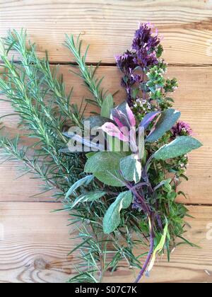 Kräuter-Strauß Stockfoto