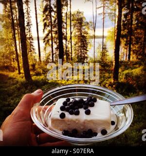 Frisch gesammelten Heidelbeeren aus einer nordischen See Sommerhaus Gesamtstruktur hinzugefügt, um ein Eis am Abend im Urlaub Stockfoto