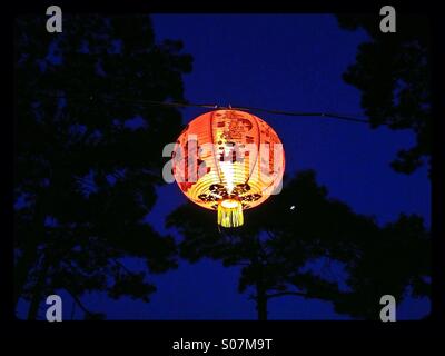Eine chinesische Laternenlicht hängen in einem Open-Air-Restaurant. Umliegenden Bäume Silhouette gegen einen dunkelblauen Himmel, mit einem kleinen Teil des Mondes sichtbar zwischen den Bäumen. Foto Credit © COLIN HOSKINS. Stockfoto