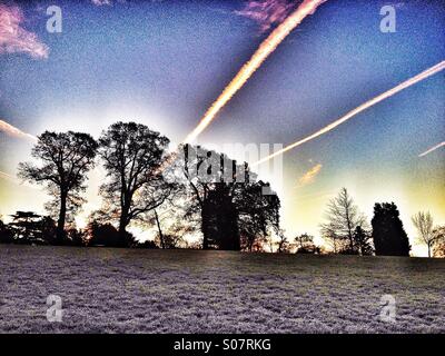 Bäumen gesäumt Hügel an einem frostigen Morgen bei Sonnenaufgang mit Flugzeug-Kondensstreifen im Himmel Stockfoto