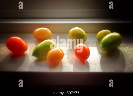 Kleine rote und grüne Tomaten Reifen auf der Fensterbank Stockfoto