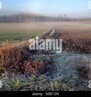 Frostigen Ackerland in Skandinavien an einem kalten nebligen Herbstmorgen Stockfoto