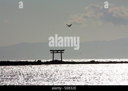 Torii-Tor in Japan. Stockfoto